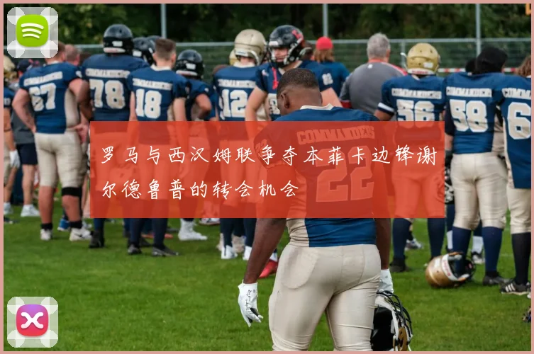 罗马与西汉姆联争夺本菲卡边锋谢尔德鲁普的转会机会